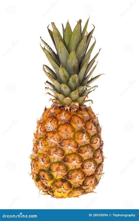 One Whole Pineapple Fruit Royalty Free Stock Image Image