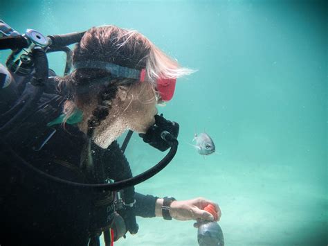 What Is Scuba Diving Is Scuba Diving A Sport Five Types Of Scuba