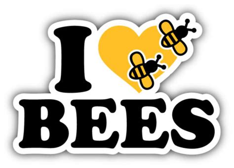 I Love Bees Slogan Car Bumper Sticker Decal 5 X 4 Ebay