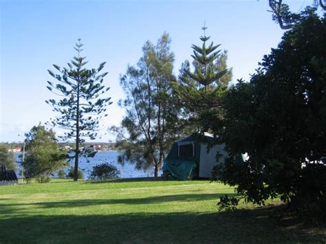 Belmont Pines Lakeside Holiday Park - Belmont Area for tents and camping