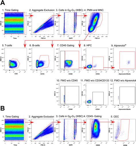 Single Cell Gating Flow Cytometry