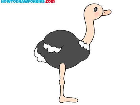 how to draw ostrich