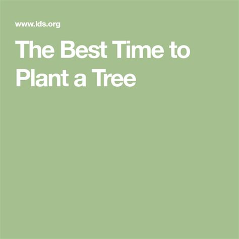 The Best Time To Plant A Tree Plants Tree Trees To Plant