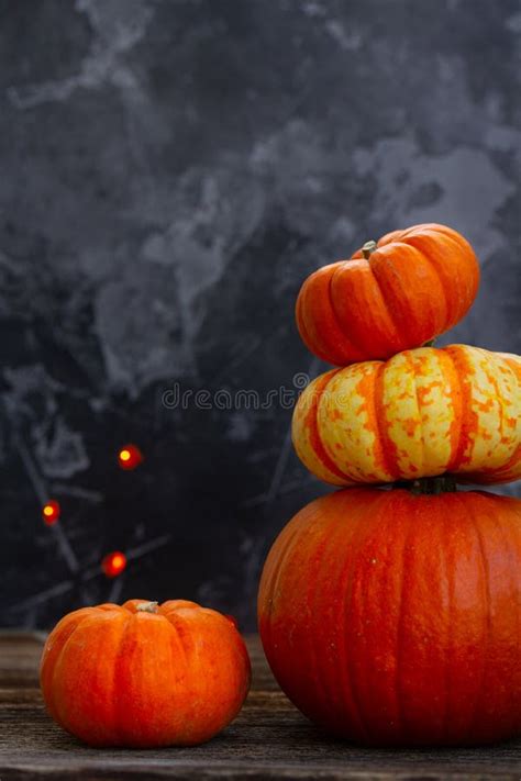 Fall harvest of pumpkins stock image. Image of leaves - 117513225