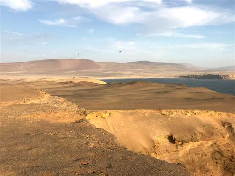 Ica Excursi N Privada A La Isla Ballestas Y La Reserva De Paracas