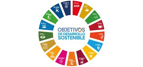 Carácter Estratégico Y Social De La Contratación Pública Asociación