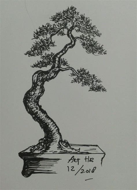 Sketsa Pohon Bonsai - 54+ Koleksi Gambar