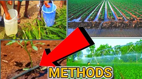 Types Of Irrigation Methods Advantages Disadvantages Youtube