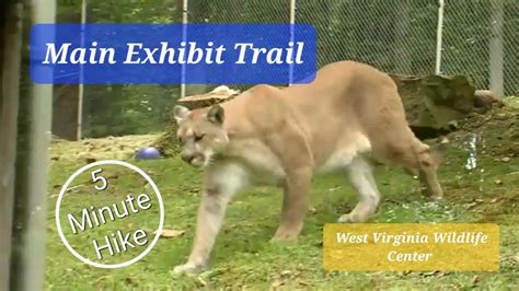 Main Exhibit Trail At The West Virginia State Wildlife Center Youtube