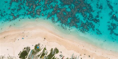 Best Beaches for Snorkeling on Oahu - Local Getaways