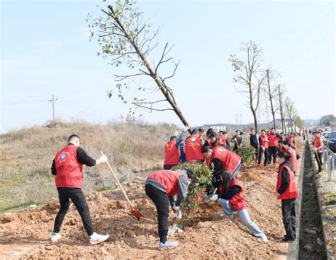 不负春光添新绿 共绘美丽新画卷 岳阳市岳阳楼区政府门户网站