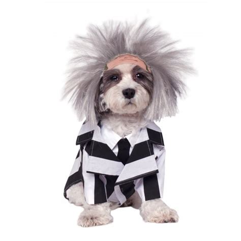 Beetlejuice Dog Costume | BaxterBoo