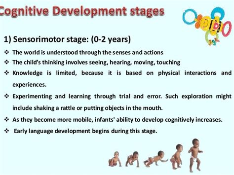 Piaget Cognitive Development Theory