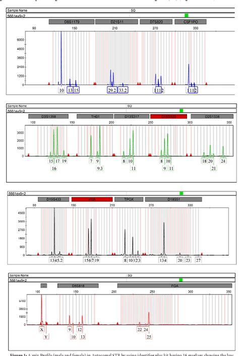 Figure 1 From Role Of Vaginal Washing In Semen Detection And D N A