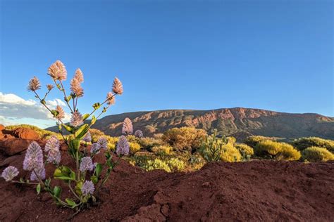 Mount Augustus National Park