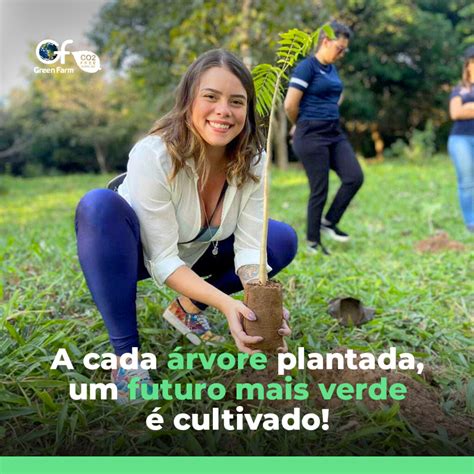 Juntos Cultivando Um Futuro Mais Verde Green Farm