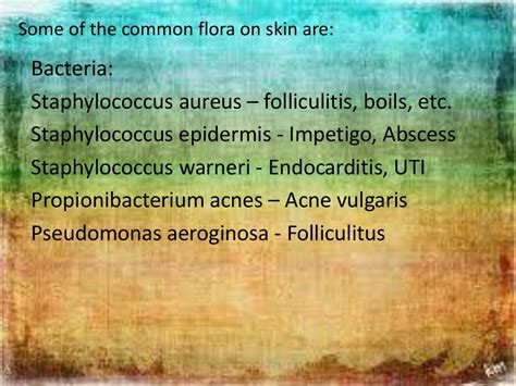 Skin microflora / Normal Flora of Skin