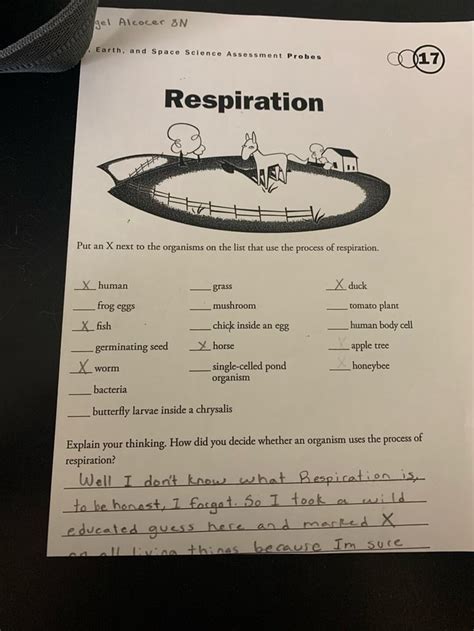 Earth And Space Science Assessment Probes Respiration Put An X Next To The Organisms On The