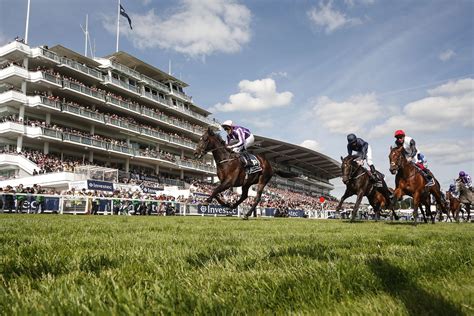 Epsom Derby Insights Mastering Thoroughbred Pedigrees