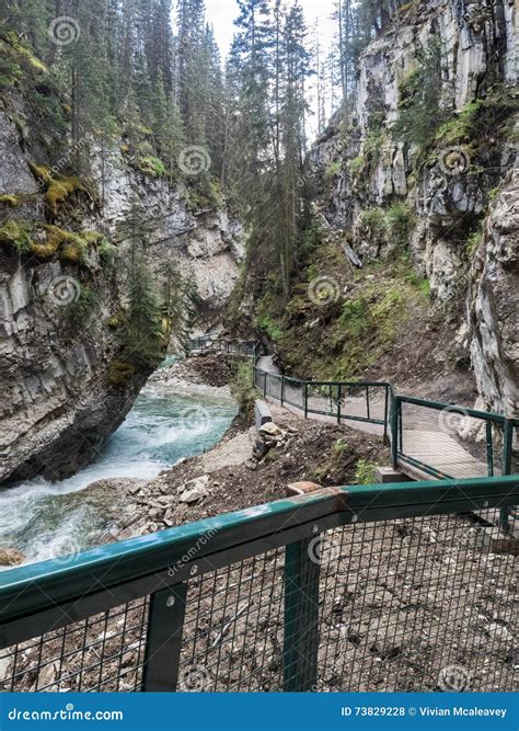 Trail And Catwalk In Canyon Stock Photo Image Of Johnston Banff