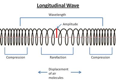 Examples Of Longitudinal Waves : Image result for transverse and ...