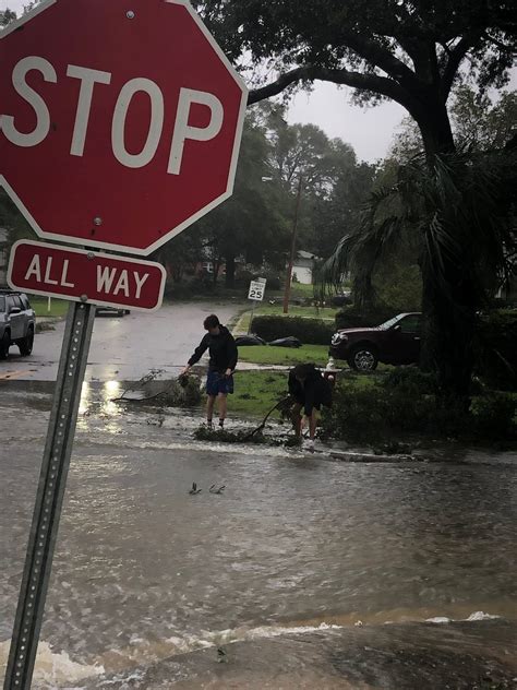 Weekly “what Is It” Flooding Ufifas Extension Escambia County