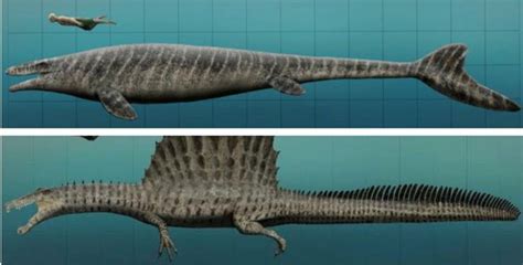 Mosasaurus Size Comparison