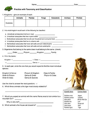 Biological Classification Worksheets 16 Free Templates Worksheets