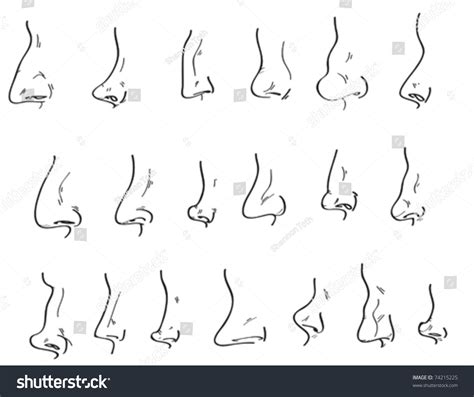 Human Nose Images: Browse 133,901 Stock Photos & Vectors Free Download ...