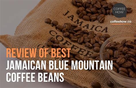 Best Jamaican Blue Mountain Coffee Beans Review And Guide