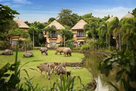 Nikmati Pengalaman Menginap Yang Unik Di Hotel Bali Safari Mara