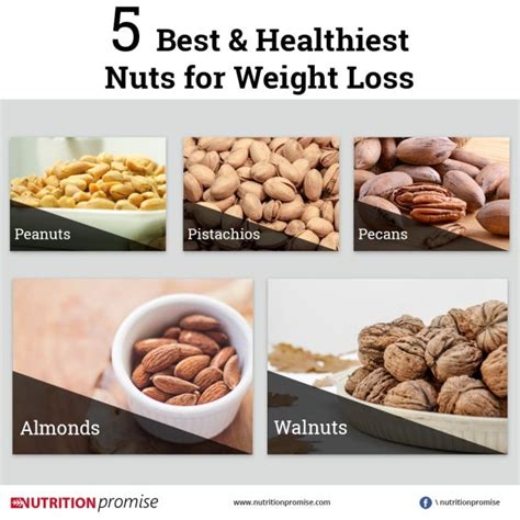 5 Best & Healthiest Nuts for Weight Loss