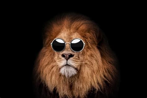 Premium Photo Cool Hipster Boss Lion With Vintage Round Sunglasses On Black Background