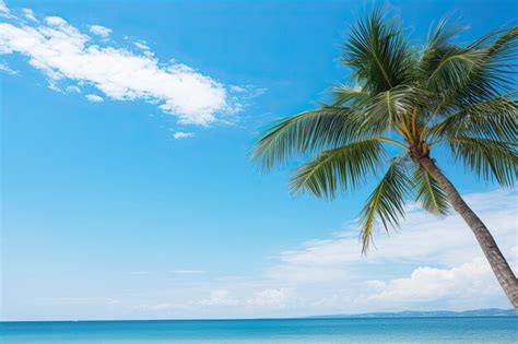 Premium Ai Image Palm Tree On Tropical Beach With Blue Sky And White