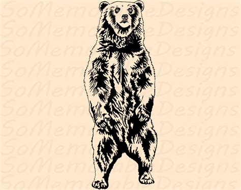 Grizzly Bear Svg Grizzly Bear Svg File For Cricut Grizzly Etsy