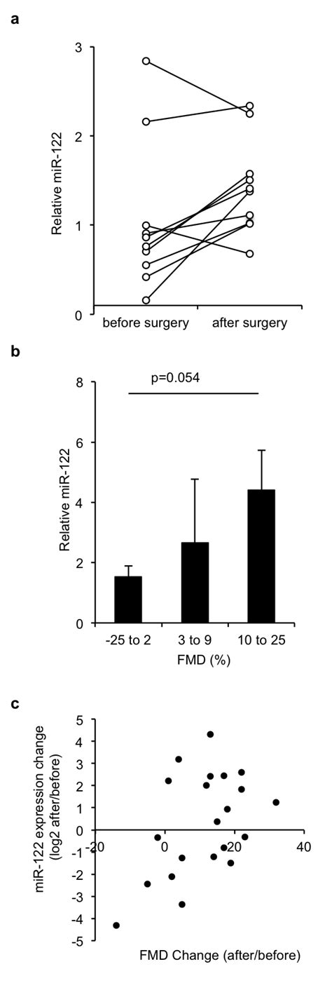 Qrt Pcr For Mir 122 In Individual Serum Samples [a] Relative Mir 122