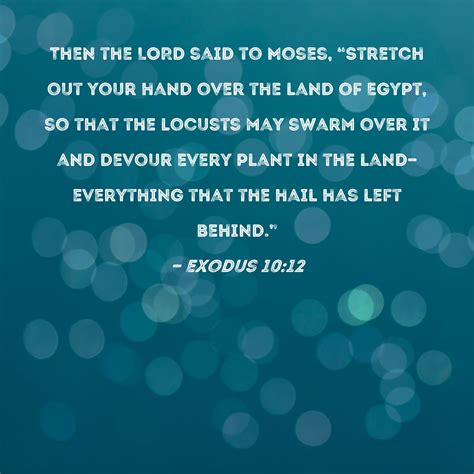 Exodus 1012 Then The Lord Said To Moses Stretch Out Your Hand Over