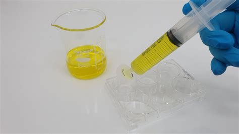 VWR SYRINGE FILTER PTFE membrane 캐시바이