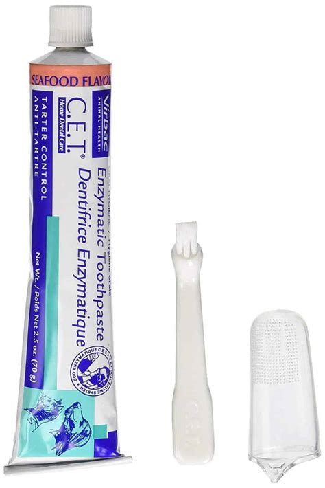 Best Cat Dental Products and Treats - OliveKnows