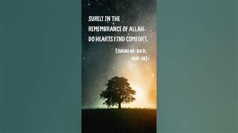 Surely In The Remembrance Of Allah Do Hearts Find Comfort Youtube