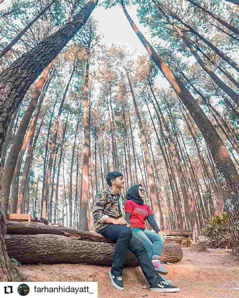 Tiket Masuk Gunung Pancar Homecare