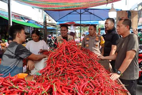 Sempat Meroket Di Angka Rp Ribu Harga Cabai Di Pekanbaru Terus Turun