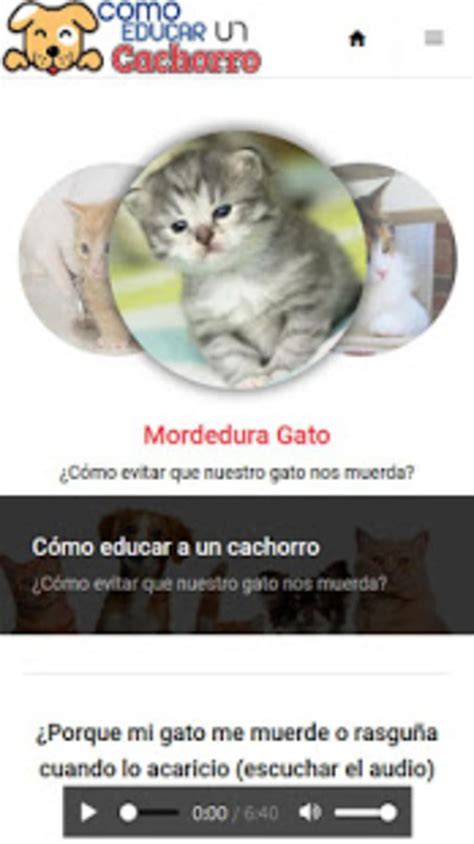 Cómo Educar a un Cachorro APK สำหรบ Android ดาวนโหลด