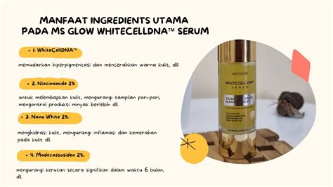 Whitecelldna™ Serum Bikin Wajah Glow Tanpa Efek Samping