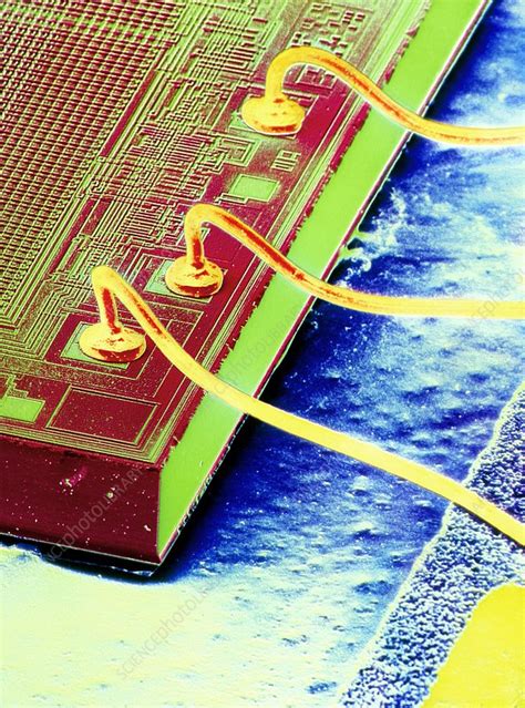 False Colour SEM Of An Integrated Circuit Stock Image T370 0573