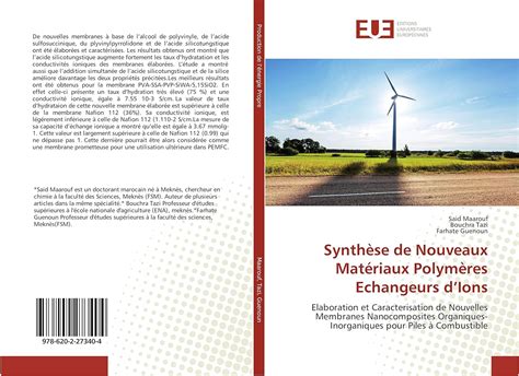 Synth Se De Nouveaux Mat Riaux Polym Res Echangeurs Dions Elaboration