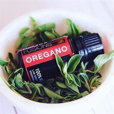 Oregano Essential Oil | Nature's Fusions