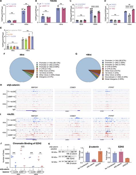 Dual Specificity Rna Aptamers Enable Manipulation Of Target Specific O