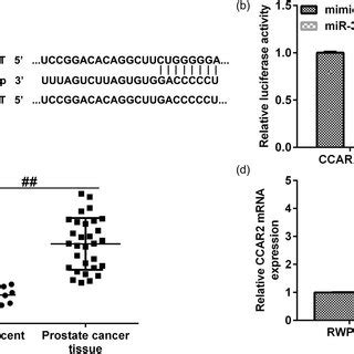 MiR 361 3p Directly Targeted LncRNA MIAT A Starbase Analysis