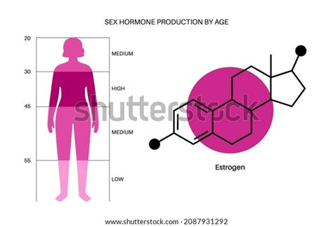 Estrogen Level Color Chart Sex Hormone Stock Vector Royalty Free 2087931292 Shutterstock